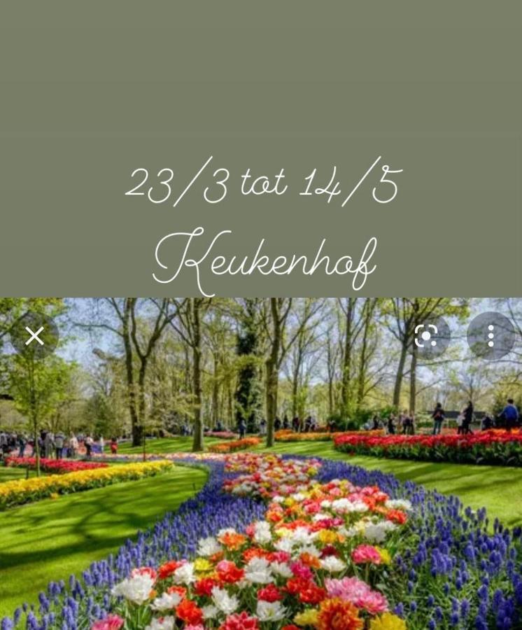 Lodge Noordwijk Εξωτερικό φωτογραφία
