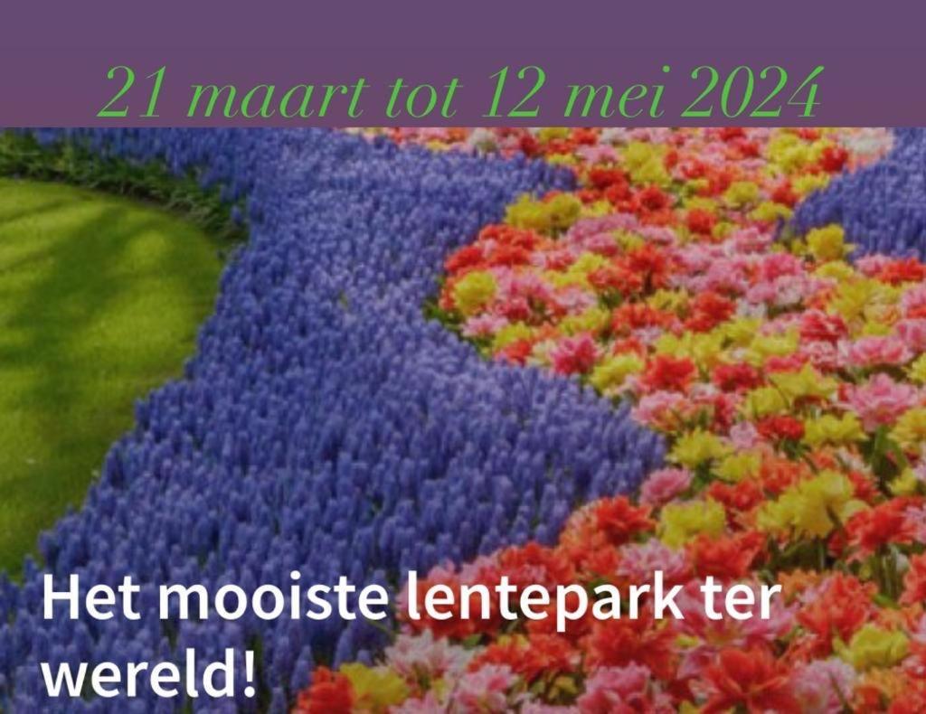 Lodge Noordwijk Εξωτερικό φωτογραφία